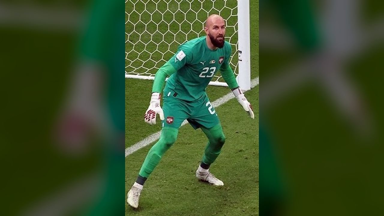 Vanja Milinković-Savić