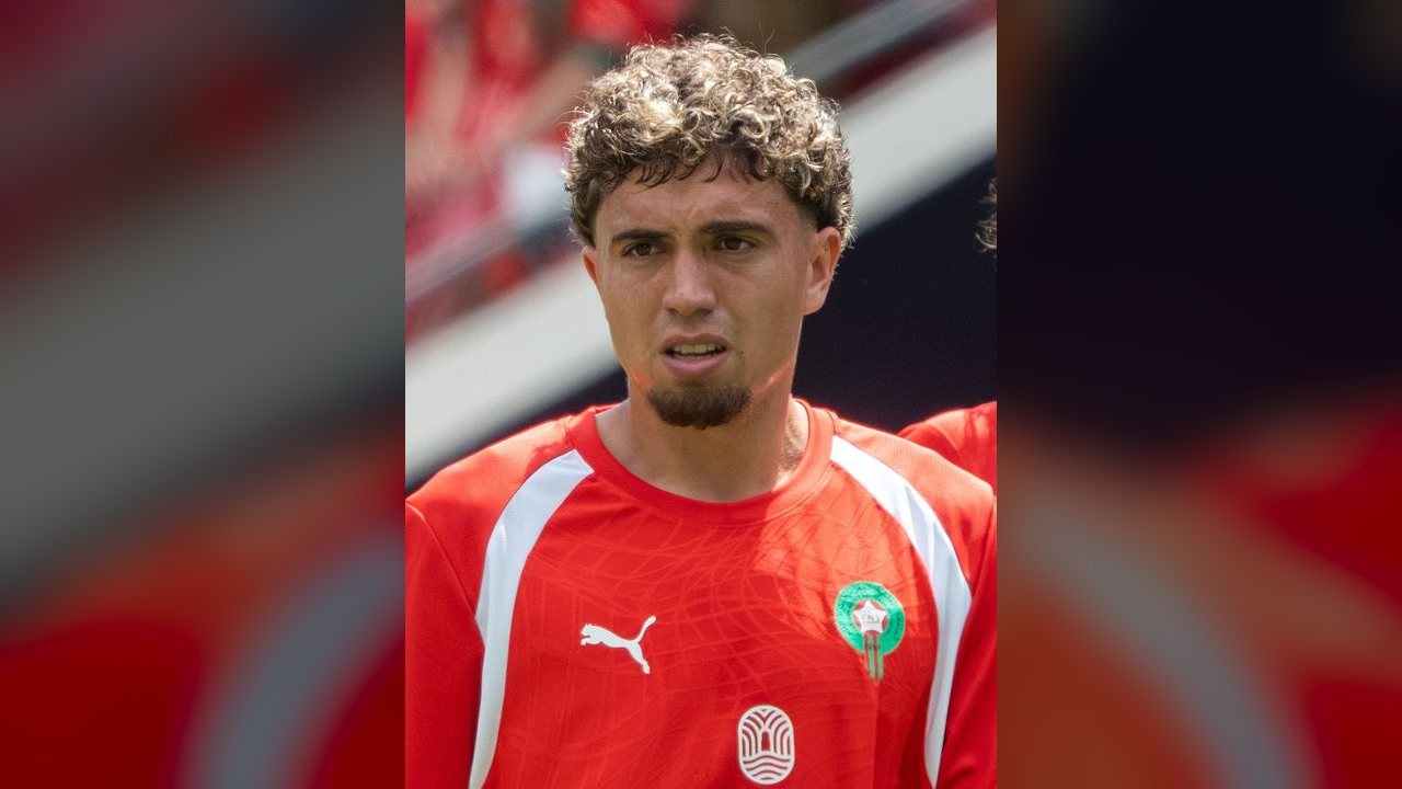 Neil El Aynaoui